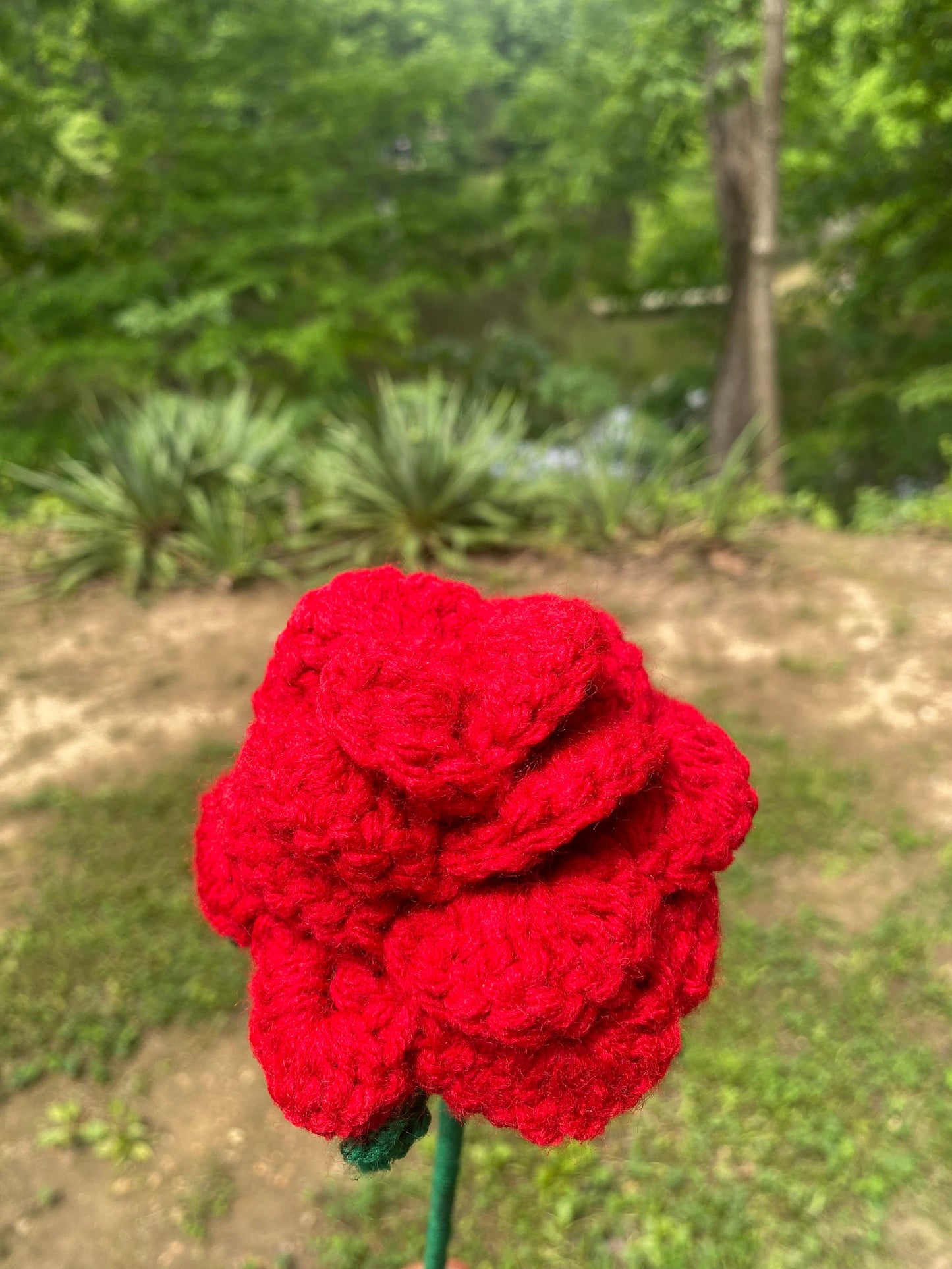 Forever in Bloom - Crochet Long Stem Flowers