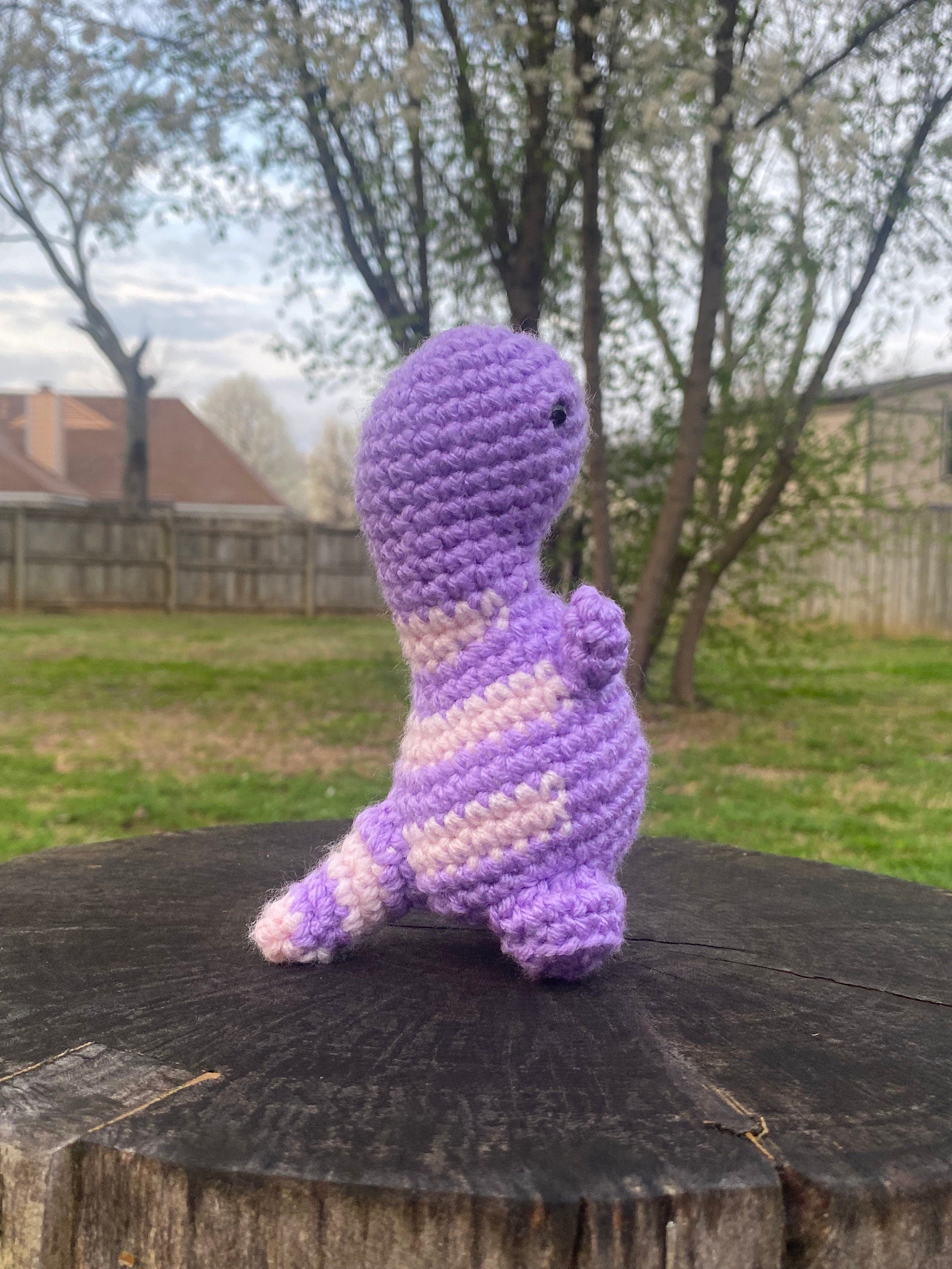 Davey-Handmade Crochet Mini Dino