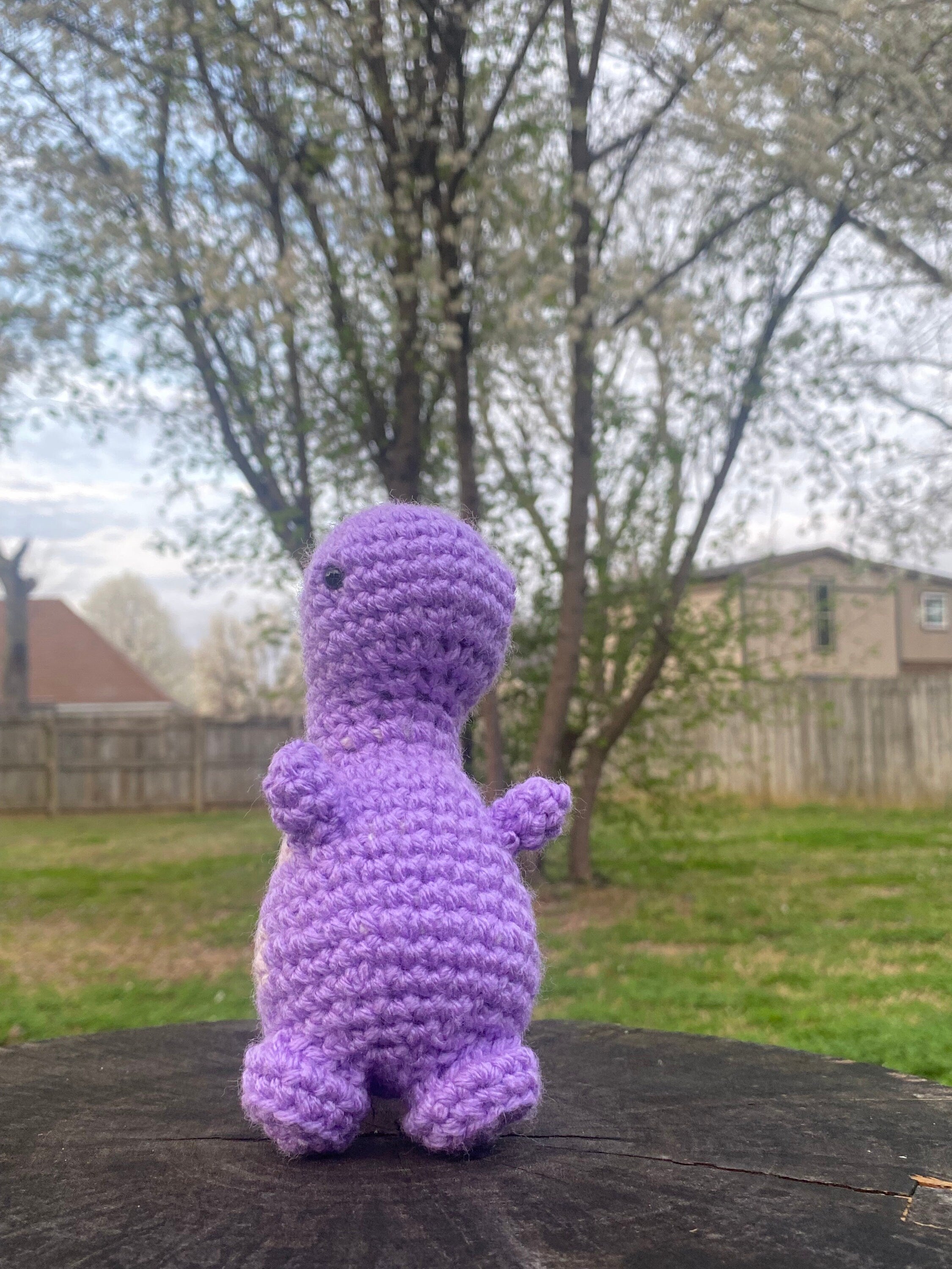 Davey-Handmade Crochet Mini Dino
