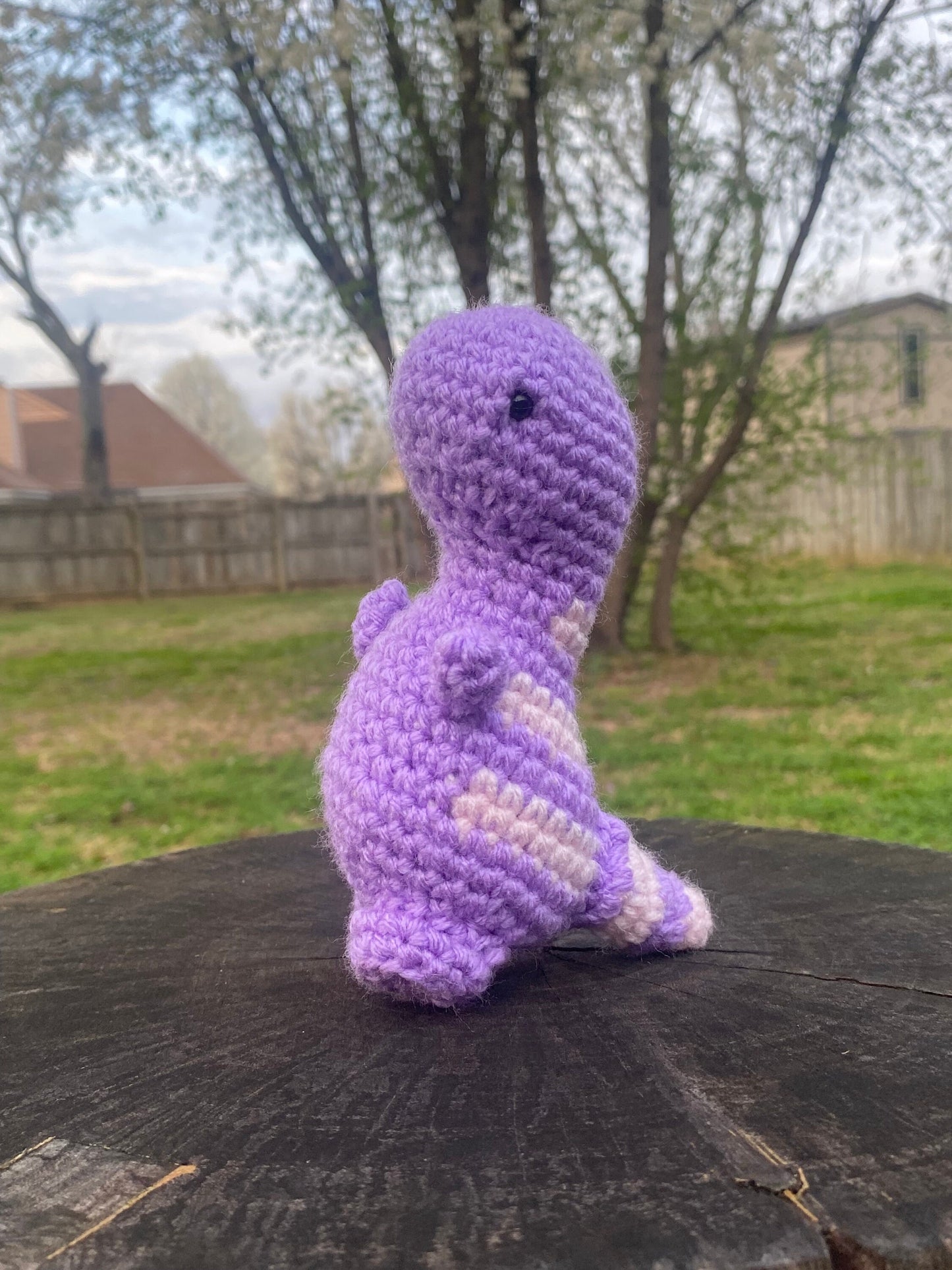 Davey-Handmade Crochet Mini Dino