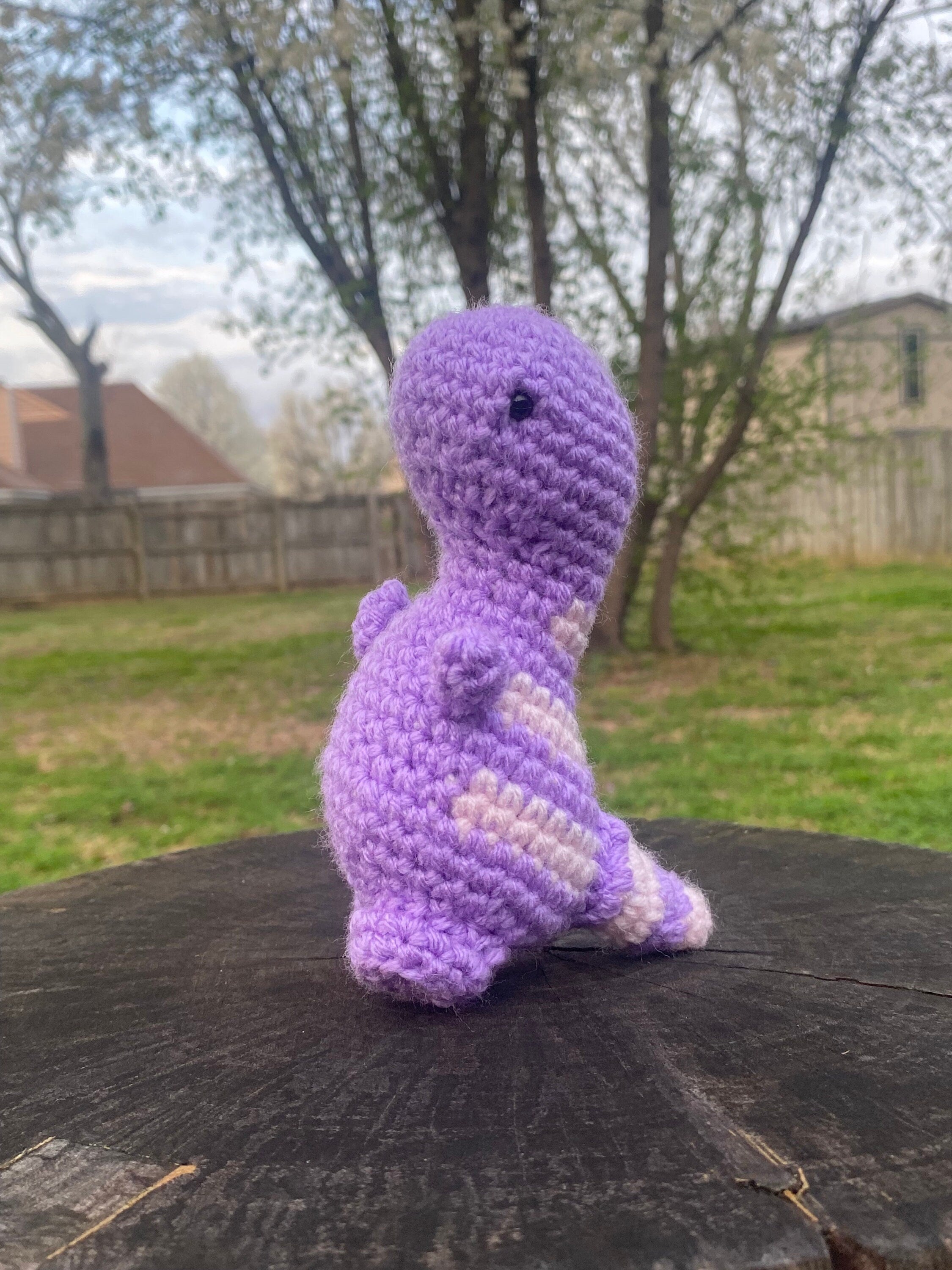 Davey-Handmade Crochet Mini Dino